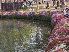 -苏州上方山国家森林公园