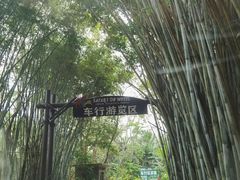 -海南热带野生动植物园