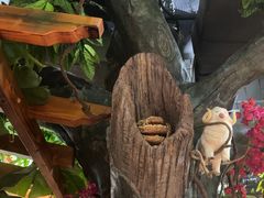 -草原塞蛮羊火锅城(港湾店)