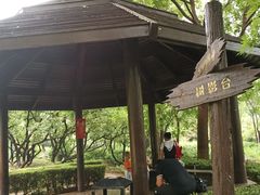 -前关湿地公园