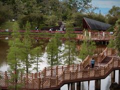 -神光山国家森林公园