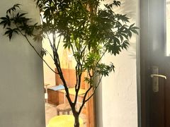 -BEZZA白札·烤芝士工作室