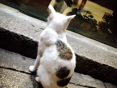 -赵元章肉骨烧(山塘街店)