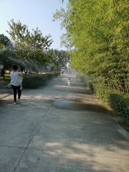 -上美四季动物农场