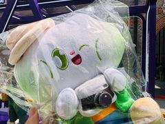 -丰盛里