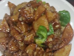 -邵年鸽(杨庄店)