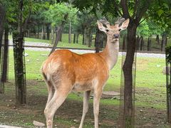 -秦皇岛野生动物园