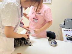 -全心全意连锁动物医院·特色中医诊疗(会城门分院)