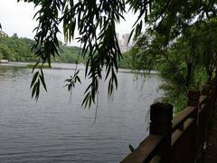 -重庆彩云湖湿地公园