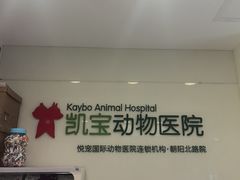 -悦宠凯宝动物医院·牙科·皮肤科(朝阳北路店)