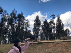 -昆明动物园