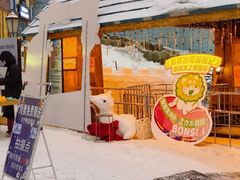 -广州热雪奇迹