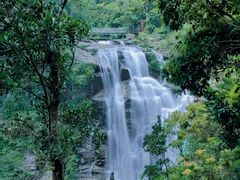 -海南热带雨林国家公园吊罗山景区