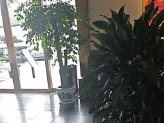 -晶泽丽琅·鱼鲜川菜(川师店)