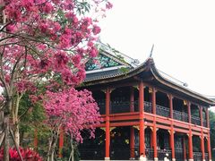 -顺峰山公园