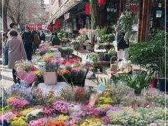 -宝鸡东道花鸟鱼虫市场(吉利花园商场店)