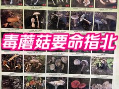 -爱膳菌锅锅(阳南店)