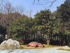 -常州淹城野生动物世界