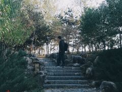 -石家庄市动物园