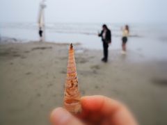 -江山半岛白浪滩景区
