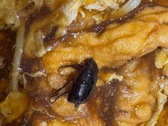 -陶然饺子城(奥体中路店)