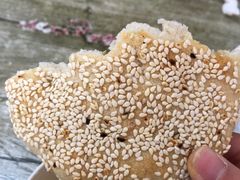 -老字号张道鸡火烧