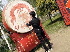 -杭州湾海上花田景区