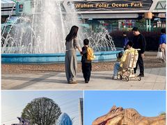 -海合安武汉极地海洋公园