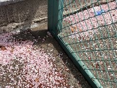 -麦德龙(包河店)