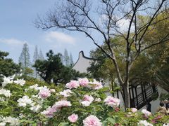 -龙华寺