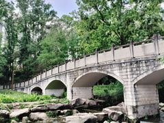 -重庆彩云湖湿地公园