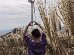 -东白山