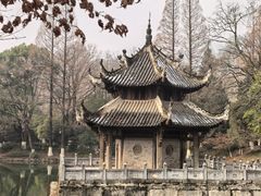-习家池