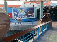 -海合安武汉极地海洋公园