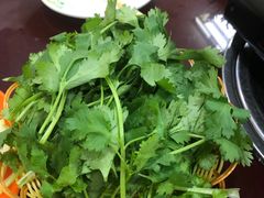 -老信阳菜馆(天通苑店)