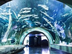 -成都浩海立方海洋公园