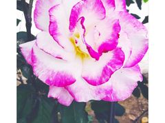 -威海华夏城景区