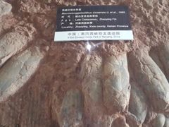 -中国西峡恐龙遗迹园