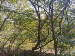 -幕燕滨江·燕子矶公园