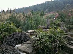 -铁山坪森林公园