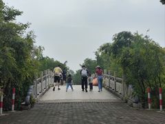 -上海海湾国家森林公园