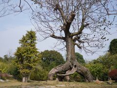 -南通洲际绿博园