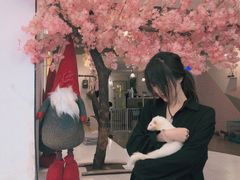 -浣熊柯尔鸭土拨鼠·电玩咖