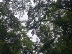 -火炉山森林公园