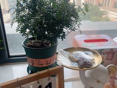 -今日·TODAY手作低脂动物奶油蛋糕定制(高新万达店)