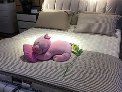 -红星美凯龙(东北全球家居1号店)
