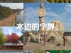 -江滩湿地公园