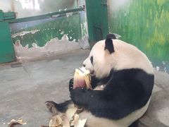 -无锡动物园·太湖欢乐园