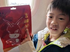 -石家庄正定国际机场-T2航站楼