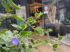 -候鸟等风来·精致西厨(万科第五城店)